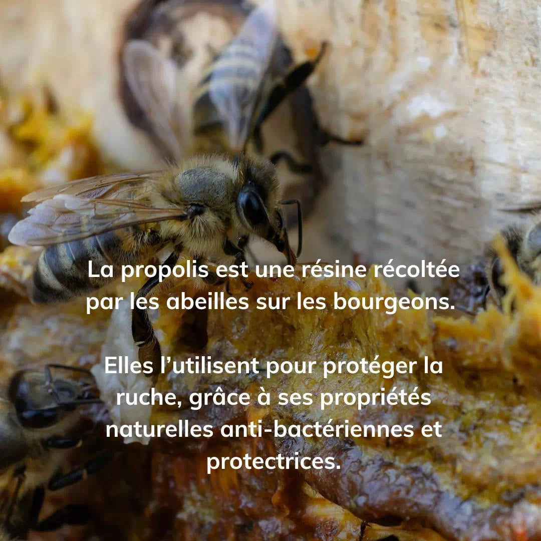Honing- en propolis-snoepjes