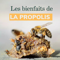 Honing- en propolis-snoepjes